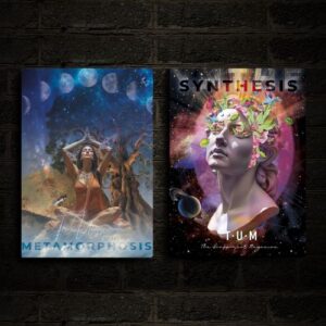 Bundle 2: Metamorphosis & Synthesis