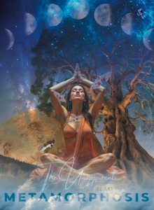 METAMORPHOSIS the unapparent art magazine